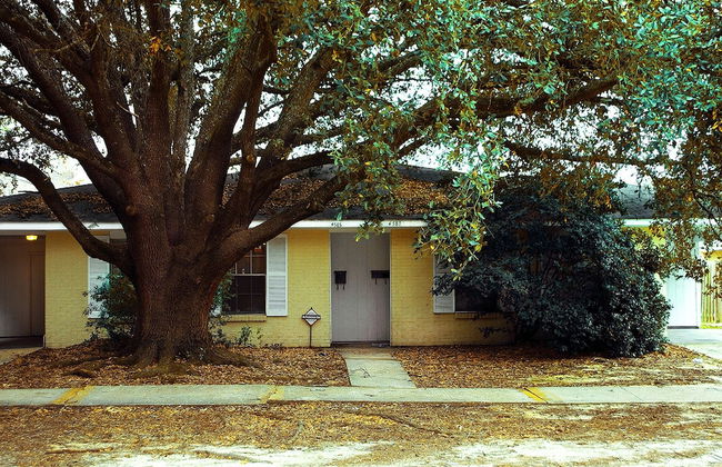 Moonbeam City ELF Home - Foto 1