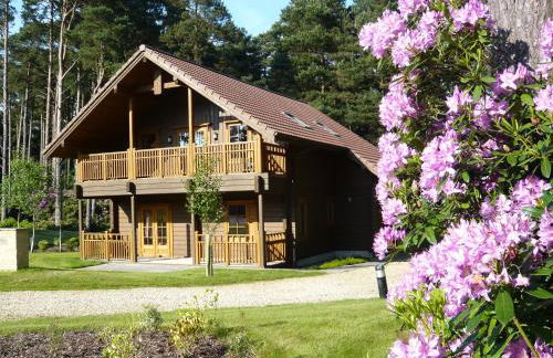 The Dorset Resort - Photo 2