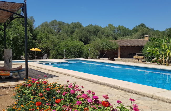 Finca Sa Cova Vella - Photo 40