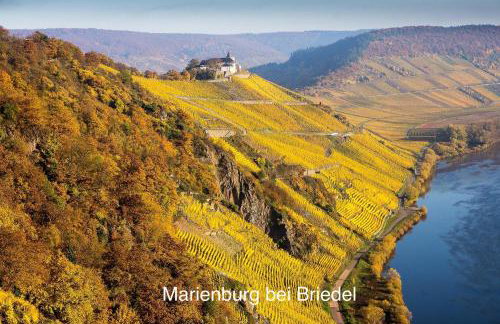 Wohnen am Weingut - Bei den Weinbergen - Foto 21