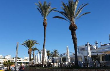 APARTMENT MARINA CALADOR HARBOURVIEW AIR CONDITION POOL GARDEN TERRASSE PORTO CARI spectacular location - Foto 51