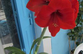 Sandalis Hotel - Foto 59