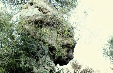 Casa della Nonna - Foto 45