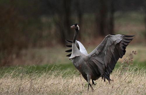 Cascina Borgofrancone - Foto 58