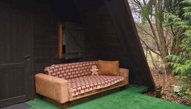 Zofiówka las - Foto 2