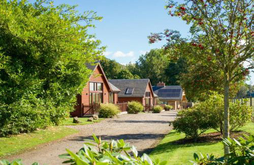 Apple Tree Lodge - Photo 19