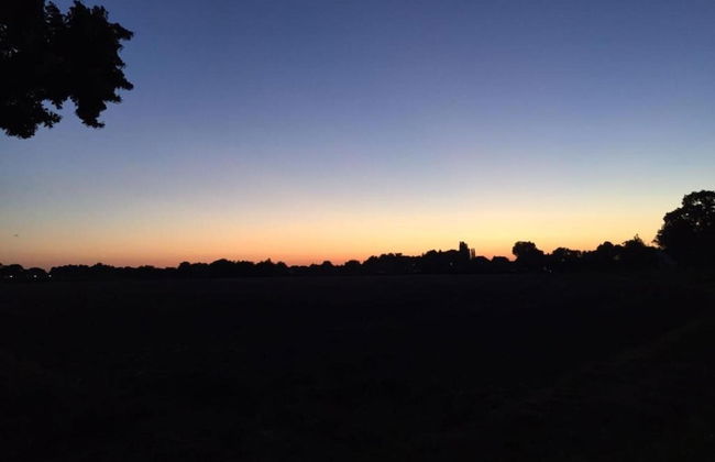 Bungalow in Green Haven of the Netherlands - Photo 28