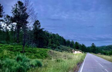 Relax Container - Foto 44