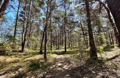 Villa Am Meer Glowe Apartment OG - Foto 33