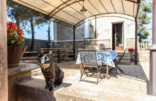 Villa Antonietta - Foto 47