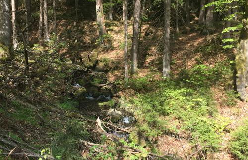 Ferienwohnung Paul Schwarzenberg - Foto 13