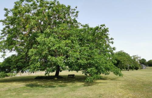 L'Ancienne Distillerie - Foto 38