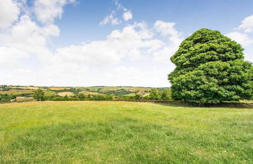 Ivylea Barn - Photo 16