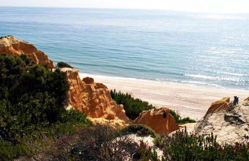 Casa John Lisboa-Piscine chauffée en option - Foto 12