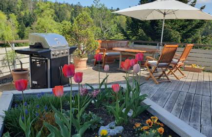 Landhaus-Apartment Feldbergblick - Foto 1