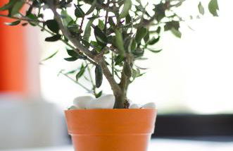 Sea View Hotel & Apartments - Foto 108