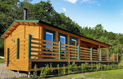 Dôl Werdd Lodge - Photo 2