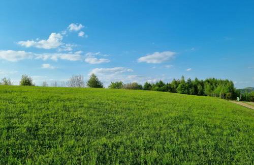Wiśniowe Zacisze - Agroturystyka - Photo 24