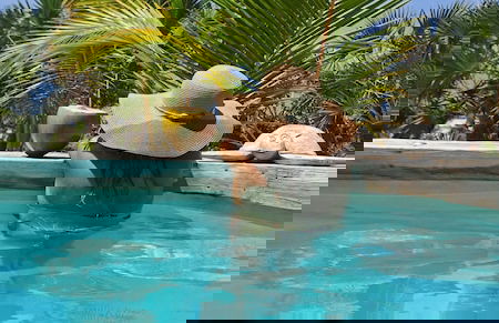 Sunset Villa - Luxury Beachfront Villa with Private Pool by Karula Sand Villas - Foto 10