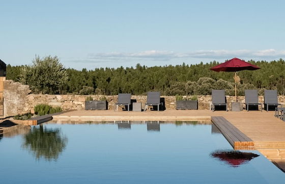 Herdade dos Abegões - Foto 25