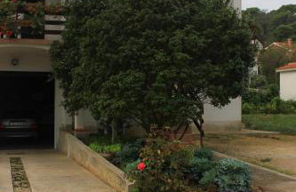 Apartments with parking space Kraj, Pasman - 8502 - Photo 8