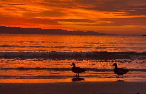 Tangerine Tree House - Foto 18