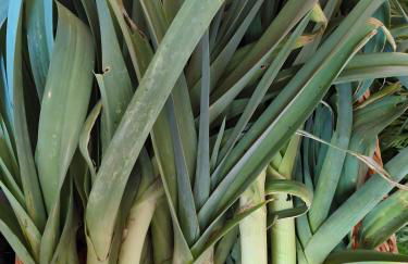 Ferme Pédagogique Bordeneuve - Foto 26