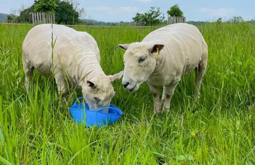 The Drift House - Foto 29