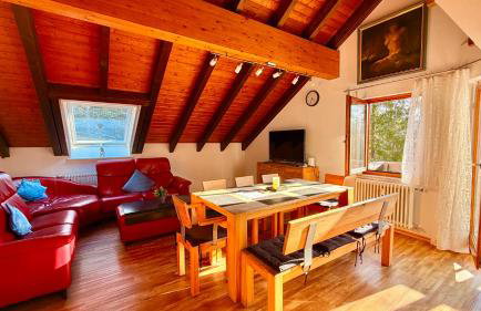 Waldapartments Titisee - Foto 66