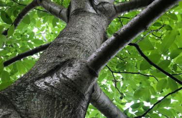 Casa Bella Vista - Foto 33