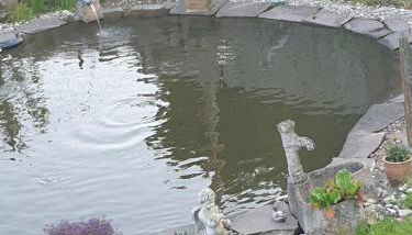 Ferienwohnung Oskar - Foto 3