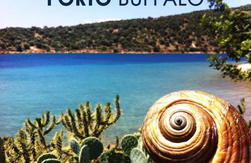 Sea Front Studio - Porto Buffalo - Evia - Foto 18