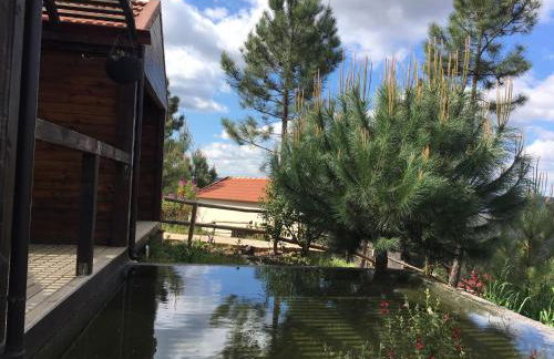 Villa de Paco - Foto 29