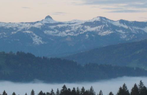 Haus-Lindenau - Foto 15