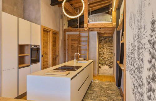 La Ferme à Roland ski in - ski out - Happy Rentals - Photo 19