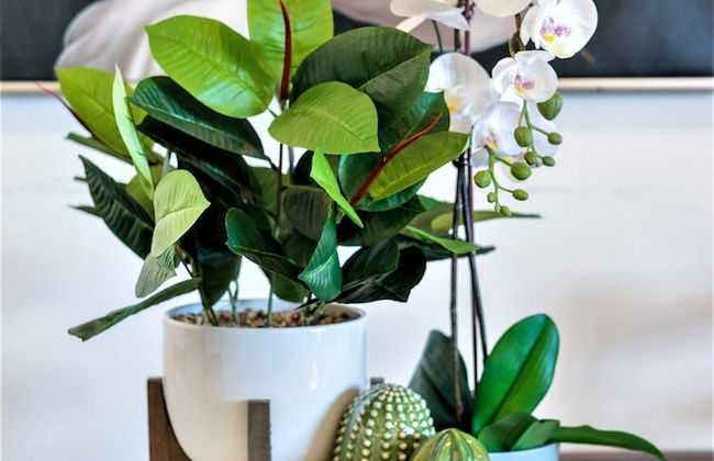 Bondi Beach Oasis - Photo 15