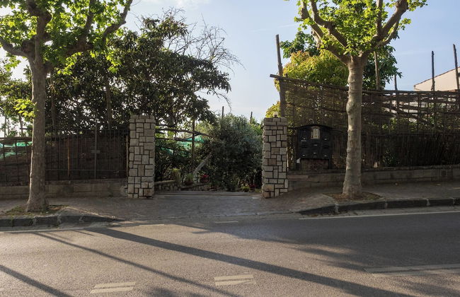 Giardino di Nonno Lucio - Foto 34