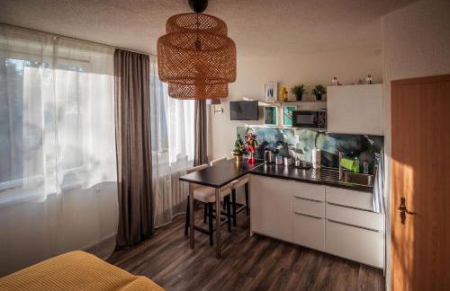 GottwaldHaus - Apartment - Foto 1