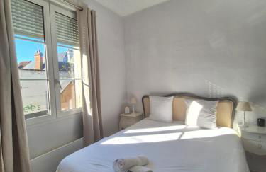 T2 Ctre ville Fibre proche Beauval - Photo 6