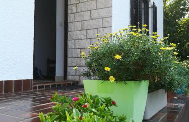 Apartments Eliva - Foto 11