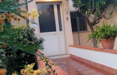 Nel giardino di Nunziatina - Photo 33