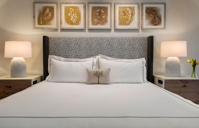 Glover Park - Georgetown - Foto 9