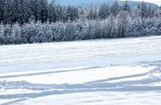 Ferienwohnung Liebscher - Foto 11