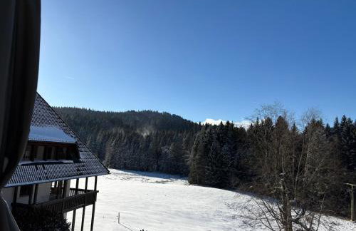 Ferienwohnung Alva Hinterzarten - Foto 18