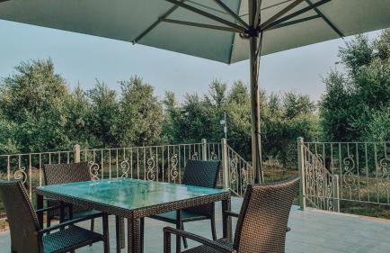 Entheon Olive Villas - Poolside Retreats - Foto 63