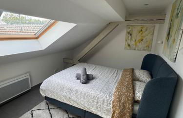 Appartement cosy au centre ville de Colmar - Foto 9