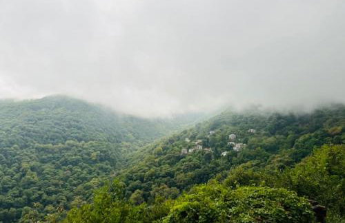 Alexias Home - Foto 17