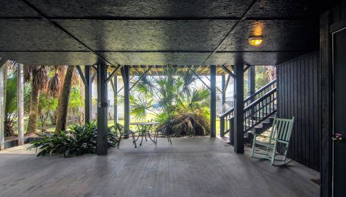 Green Parrot - Photo 3