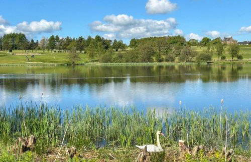 Halleaths Home Farm - Foto 16