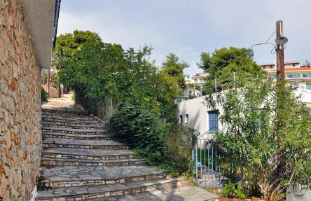 Pension Dimitris - Photo 32